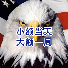 九真镇要账公司